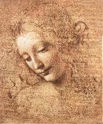 LEONARDO da Vinci Madchenkopf with confused hair France oil painting artist